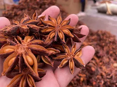 Quelques fruits staranis biologiques de qualité supérieure juste débarqués.