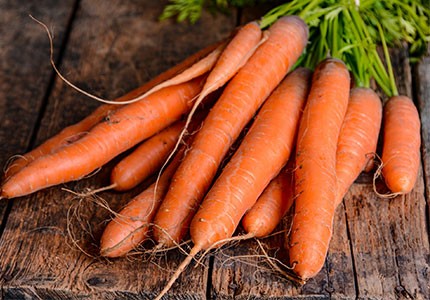 Poudre de carotte biologique: avantages, recettes et conseils pour l'achat
