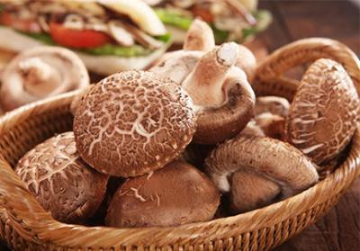 Explorer les avantages de l'extrait de poudre de champignons Shiitake