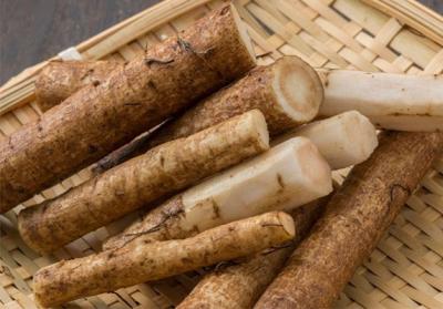 Découvrir les bienfaits pour la santé de la poudre de racine de bardane