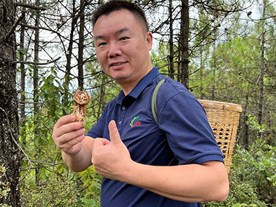 ACE a fait une visite d'exploration des champignons sauvages autour de la montagne Shangri-La.