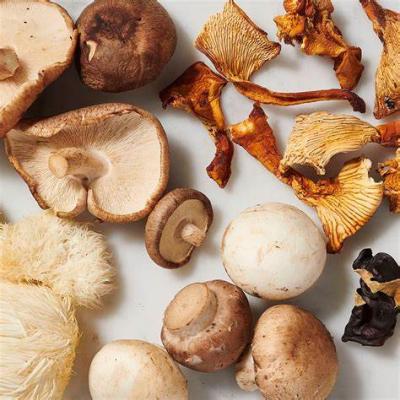 Une nouvelle étude révèle que les champignons sont aussi efficaces que les suppléments de vitamine D