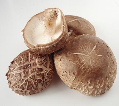 Effet antiviral de l'extrait de champignon Shiitake