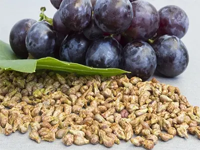 Quels sont les effets de l'extrait de pépins de raisin?