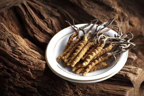 Stimuler l'énergie et l'endurance: comment l'extrait de Cordyceps Sinensis peut aider