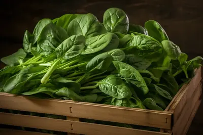 Le Superaliment vert: Poudre d'épinards biologiques